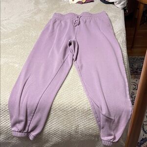 Wild Fable purple sweatpants